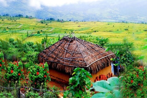 Munnar | Munnar taxi | Munnar taxi service | Munnar sightseeing | Munnar tours | Munnar jeep safari | Munnar local taxi | Munnar taxi booking | Munnar taxi packages | Munnar sightseeing taxi | Munnar taxi rates | Munnar sightseeing tour | taxi in Munnar | taxi service in Munnar | Munnar tour packages | Munnar taxi hire | Munnar taxi booking online | taxi near Munnar | Munnar taxi driver | jeep safari in Munnar | best taxi in Munnar | Munnar tour guide | local taxi in Munnar | taxi cab Munnar | sightseeing in Munnar | Munnar local tours | sightseeing taxi | Munnar taxi offers | Munnar private taxi | Munnar taxi for groups | affordable taxi Munnar | Munnar taxi for hire | Munnar city taxi | Munnar tourist taxi | Munnar airport taxi | taxi Munnar sightseeing packages | taxi for Munnar hills | taxi Munnar local sightseeing | Munnar eco taxi | Munnar private jeep safari | Munnar taxi contact | taxi services near Munnar | Munnar jeep hire | visit Munnar taxi | Munnar taxi transport | Munnar taxi prices | taxi Munnar Kerala | Munnar taxi day tour | jeep safari packages Munnar | Munnar sightseeing trip | Munnar travel taxi | local taxi services Munnar | Munnar honeymoon packages | honeymoon tour Munnar | honeymoon taxi Munnar | honeymoon sightseeing Munnar | Munnar honeymoon tours | honeymoon jeep safari Munnar | honeymoon travel packages Munnar | romantic tours Munnar | honeymoon package deals Munnar | Munnar romantic packages | jeep safari Munnar | jeep safari Munnar packages | jeep safari in Munnar | jeep safari booking Munnar | jeep safari tours Munnar | jeep safari Kerala | jeep safari Munnar cost | jeep safari adventure Munnar | jeep safari wildlife Kerala | jeep safari package deals Munnar | jeep safari booking online Munnar | jeep safari local Munnar | jeep safari hills Munnar | jeep safari nature tours Munnar | Munnar local sightseeing | Munnar taxi reviews | Munnar taxi booking service | Munnar taxi offers | Munnar taxi cost | Munnar taxi trip planner | Munnar taxi family packages | Munnar outstation taxi packages | Munnar airport transfers | Munnar Sandy Taxi contact | Munnar taxi phone number | taxi booking contact Munnar | taxi service customer support Munnar | taxi contact details Munnar | taxi booking helpline Munnar.