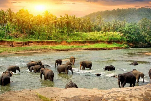 Munnar | Munnar taxi | Munnar taxi service | Munnar sightseeing | Munnar tours | Munnar jeep safari | Munnar local taxi | Munnar taxi booking | Munnar taxi packages | Munnar sightseeing taxi | Munnar taxi rates | Munnar sightseeing tour | taxi in Munnar | taxi service in Munnar | Munnar tour packages | Munnar taxi hire | Munnar taxi booking online | taxi near Munnar | Munnar taxi driver | jeep safari in Munnar | best taxi in Munnar | Munnar tour guide | local taxi in Munnar | taxi cab Munnar | sightseeing in Munnar | Munnar local tours | sightseeing taxi | Munnar taxi offers | Munnar private taxi | Munnar taxi for groups | affordable taxi Munnar | Munnar taxi for hire | Munnar city taxi | Munnar tourist taxi | Munnar airport taxi | taxi Munnar sightseeing packages | taxi for Munnar hills | taxi Munnar local sightseeing | Munnar eco taxi | Munnar private jeep safari | Munnar taxi contact | taxi services near Munnar | Munnar jeep hire | visit Munnar taxi | Munnar taxi transport | Munnar taxi prices | taxi Munnar Kerala | Munnar taxi day tour | jeep safari packages Munnar | Munnar sightseeing trip | Munnar travel taxi | local taxi services Munnar | Munnar honeymoon packages | honeymoon tour Munnar | honeymoon taxi Munnar | honeymoon sightseeing Munnar | Munnar honeymoon tours | honeymoon jeep safari Munnar | honeymoon travel packages Munnar | romantic tours Munnar | honeymoon package deals Munnar | Munnar romantic packages | jeep safari Munnar | jeep safari Munnar packages | jeep safari in Munnar | jeep safari booking Munnar | jeep safari tours Munnar | jeep safari Kerala | jeep safari Munnar cost | jeep safari adventure Munnar | jeep safari wildlife Kerala | jeep safari package deals Munnar | jeep safari booking online Munnar | jeep safari local Munnar | jeep safari hills Munnar | jeep safari nature tours Munnar | Munnar local sightseeing | Munnar taxi reviews | Munnar taxi booking service | Munnar taxi offers | Munnar taxi cost | Munnar taxi trip planner | Munnar taxi family packages | Munnar outstation taxi packages | Munnar airport transfers | Munnar Sandy Taxi contact | Munnar taxi phone number | taxi booking contact Munnar | taxi service customer support Munnar | taxi contact details Munnar | taxi booking helpline Munnar.