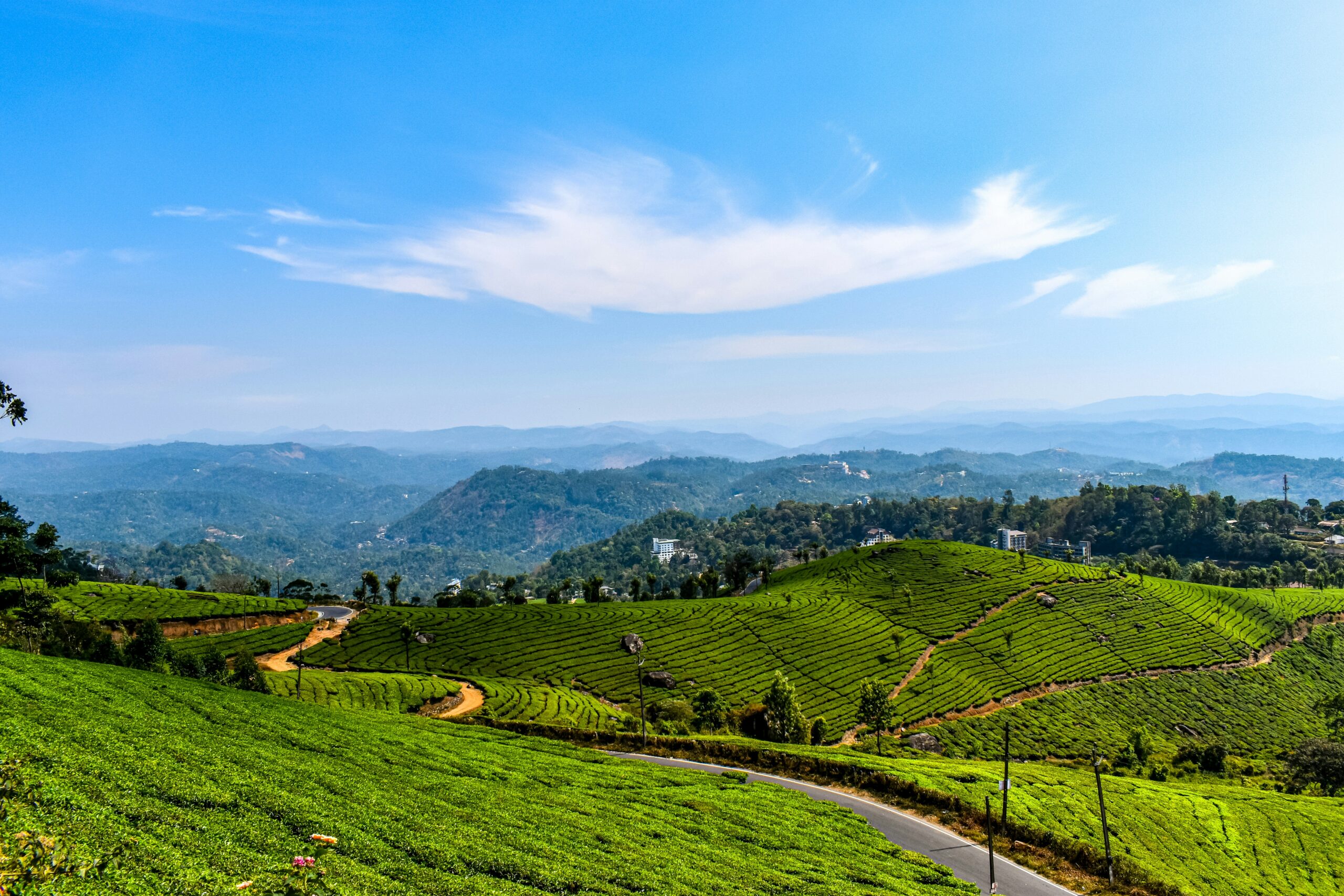 Cochin Tour Packages | Kerala Tour Packages From Cochin | Cochin Honeymoon Tour Packages | Cochin Family Tour Packages | Cochin To Munnar Tour Packages | Cochin To Alleppey Tour Packages | Cochin To Thekkady Tour Packages | Cochin Sightseeing Tour Packages | Budget Tour Packages Cochin | Luxury Tour Packages Cochin | Customized Tour Packages Cochin | Cochin City Tour Packages | Cochin Heritage Tour Packages | Cochin Spice Tour Packages | Cochin Backwater Tour Packages | Cochin Monsoon Tour Packages | Cochin Nature Tour Packages | Cochin Wildlife Tour Packages | Cochin Houseboat Tour Packages | Kerala Hill Station Tour From Cochin | Cochin Beach Tour Packages | Cochin Cultural Tour Packages | Cochin Adventure Tour Packages | Cochin Backpacker Tour Packages | Cochin 2 Days Tour Packages | Cochin 3 Days Tour Packages | Cochin 4 Days Tour Packages | Cochin Weekend Tour Packages | Cochin Local Sightseeing Tour Packages | Cochin Boat Tour Packages | Cochin Tourism Packages Online | Cochin Couples Tour Packages | Cochin Group Tour Packages | Cochin Pilgrimage Tour Packages | Cochin Road Trip Tour Packages | Cochin Eco Tour Packages | Cochin Budget Honeymoon Packages | Cochin Heritage Walk Tour Packages | Cochin City Heritage Tour Packages | Cochin Historical Tour Packages | Cochin Nature Walk Tour Packages | Cochin Water Sports Tour Packages | Cochin Ayurveda Tour Packages | Cochin Food Tour Packages | Cochin Backwater Houseboat Tour Packages | Cochin Wildlife Sanctuary Tour Packages | Cochin Sunset Cruise Tour Packages | Cochin Photography Tour Packages | Cochin Monsoon Packages | Cochin Trekking Tour Packages | Cochin Luxury Stay Tour Packages | Cochin Pilgrim Tour Packages | Taxi Packages Cochin | Kerala Taxi Packages | Cochin Taxi Tour Packages | Cochin Outstation Taxi Packages | Airport Taxi Packages Cochin | Budget Taxi Packages Cochin | Luxury Taxi Packages Cochin | Family Taxi Packages Cochin | Group Taxi Packages Cochin | Cochin Taxi Rental Packages | Cochin Taxi Booking Packages | Corporate Taxi Packages Cochin | Customized Taxi Packages Cochin | Cochin Tempo Traveller Packages | Cochin Tour Taxi Packages | Cochin Wedding Taxi Packages | Cochin Airport Transfer Packages | Cochin Local Taxi Packages | Cochin Taxi Offers | Cochin Prepaid Taxi Packages | Cochin Taxi Service Packages | Cochin Taxi Deals | Cochin Taxi Hire Packages | Cochin Taxi Pricing Packages | Special Taxi Packages Cochin | Cochin Taxi Travel Packages | Cochin Taxi Package Rates | Cochin Taxi With Driver Packages | Cochin Ramadan Taxi Packages | Cochin Monsoon Taxi Packages | Cochin Holiday Taxi Packages | Cochin Eco Friendly Taxi Packages | Cochin Sightseeing Taxi Packages | Cochin Outstation Travel Packages | Cochin Taxi Package Booking | Cochin Taxi Package Discounts | Cochin Taxi Bundle Packages | Cochin Taxi Supersaver Packages | Cochin Taxi Service Deals | Cochin Taxi Flat Rate Packages | Cochin Taxi Night Packages | Cochin Taxi Monthly Packages | Cochin Taxi Party Packages | Cochin Taxi Day Tour Packages | Cochin City Taxi Packages | Cochin Tourist Taxi Packages | Cochin Taxi With AC Packages | Cochin Taxi Without AC Packages | Cochin Taxi Economy Packages | Cochin Taxi Seasonal Packages | Cochin Taxi Family Tour Packages | Cochin Taxi Business Packages | Cochin Taxi Package Offers