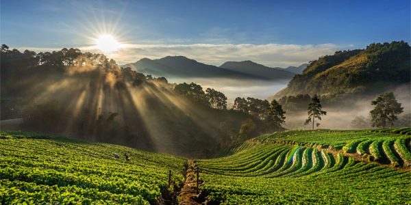 Cochin Tour Packages | Kerala Tour Packages From Cochin | Cochin Honeymoon Tour Packages | Cochin Family Tour Packages | Cochin To Munnar Tour Packages | Cochin To Alleppey Tour Packages | Cochin To Thekkady Tour Packages | Cochin Sightseeing Tour Packages | Budget Tour Packages Cochin | Luxury Tour Packages Cochin | Customized Tour Packages Cochin | Cochin City Tour Packages | Cochin Heritage Tour Packages | Cochin Spice Tour Packages | Cochin Backwater Tour Packages | Cochin Monsoon Tour Packages | Cochin Nature Tour Packages | Cochin Wildlife Tour Packages | Cochin Houseboat Tour Packages | Kerala Hill Station Tour From Cochin | Cochin Beach Tour Packages | Cochin Cultural Tour Packages | Cochin Adventure Tour Packages | Cochin Backpacker Tour Packages | Cochin 2 Days Tour Packages | Cochin 3 Days Tour Packages | Cochin 4 Days Tour Packages | Cochin Weekend Tour Packages | Cochin Local Sightseeing Tour Packages | Cochin Boat Tour Packages | Cochin Tourism Packages Online | Cochin Couples Tour Packages | Cochin Group Tour Packages | Cochin Pilgrimage Tour Packages | Cochin Road Trip Tour Packages | Cochin Eco Tour Packages | Cochin Budget Honeymoon Packages | Cochin Heritage Walk Tour Packages | Cochin City Heritage Tour Packages | Cochin Historical Tour Packages | Cochin Nature Walk Tour Packages | Cochin Water Sports Tour Packages | Cochin Ayurveda Tour Packages | Cochin Food Tour Packages | Cochin Backwater Houseboat Tour Packages | Cochin Wildlife Sanctuary Tour Packages | Cochin Sunset Cruise Tour Packages | Cochin Photography Tour Packages | Cochin Monsoon Packages | Cochin Trekking Tour Packages | Cochin Luxury Stay Tour Packages | Cochin Pilgrim Tour Packages | Taxi Packages Cochin | Kerala Taxi Packages | Cochin Taxi Tour Packages | Cochin Outstation Taxi Packages | Airport Taxi Packages Cochin | Budget Taxi Packages Cochin | Luxury Taxi Packages Cochin | Family Taxi Packages Cochin | Group Taxi Packages Cochin | Cochin Taxi Rental Packages | Cochin Taxi Booking Packages | Corporate Taxi Packages Cochin | Customized Taxi Packages Cochin | Cochin Tempo Traveller Packages | Cochin Tour Taxi Packages | Cochin Wedding Taxi Packages | Cochin Airport Transfer Packages | Cochin Local Taxi Packages | Cochin Taxi Offers | Cochin Prepaid Taxi Packages | Cochin Taxi Service Packages | Cochin Taxi Deals | Cochin Taxi Hire Packages | Cochin Taxi Pricing Packages | Special Taxi Packages Cochin | Cochin Taxi Travel Packages | Cochin Taxi Package Rates | Cochin Taxi With Driver Packages | Cochin Ramadan Taxi Packages | Cochin Monsoon Taxi Packages | Cochin Holiday Taxi Packages | Cochin Eco Friendly Taxi Packages | Cochin Sightseeing Taxi Packages | Cochin Outstation Travel Packages | Cochin Taxi Package Booking | Cochin Taxi Package Discounts | Cochin Taxi Bundle Packages | Cochin Taxi Supersaver Packages | Cochin Taxi Service Deals | Cochin Taxi Flat Rate Packages | Cochin Taxi Night Packages | Cochin Taxi Monthly Packages | Cochin Taxi Party Packages | Cochin Taxi Day Tour Packages | Cochin City Taxi Packages | Cochin Tourist Taxi Packages | Cochin Taxi With AC Packages | Cochin Taxi Without AC Packages | Cochin Taxi Economy Packages | Cochin Taxi Seasonal Packages | Cochin Taxi Family Tour Packages | Cochin Taxi Business Packages | Cochin Taxi Package Offers